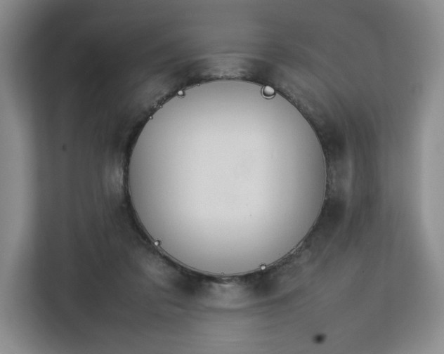 X0000112750309200908271547