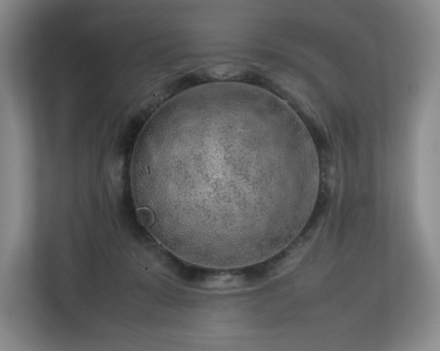 X0000112750319200908271547