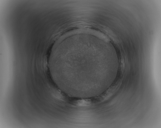 X0000112750320200908271547