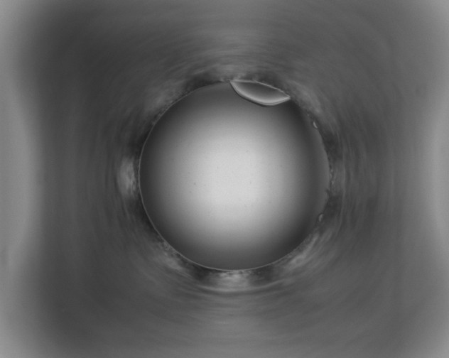 X0000112750335200908271547