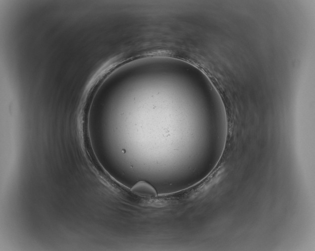 X0000112750341200908271546