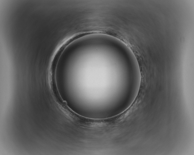 X0000112750342200908271546