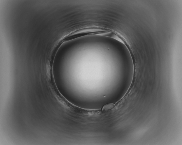 X0000112750345200908271546