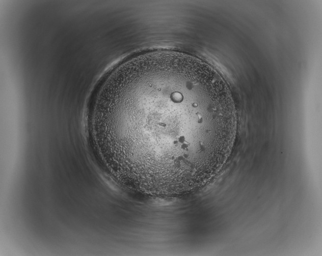 X0000112750346200908271546