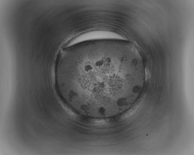 X0000112750349200908271546