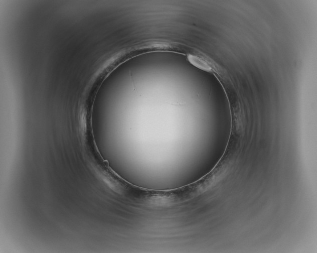 X0000112750350200908271546