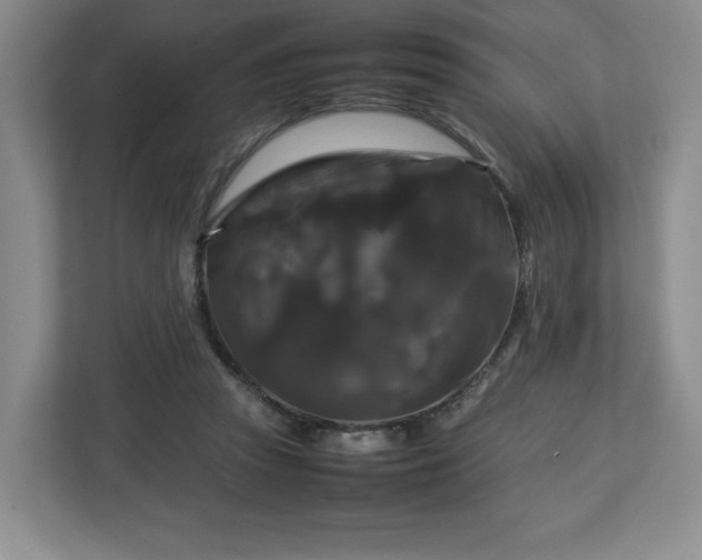 X0000112750353200908271546