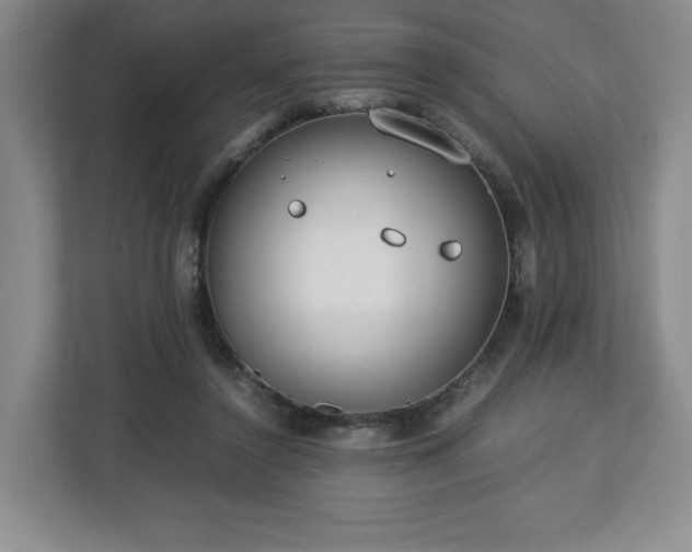 X0000112750356200908271546