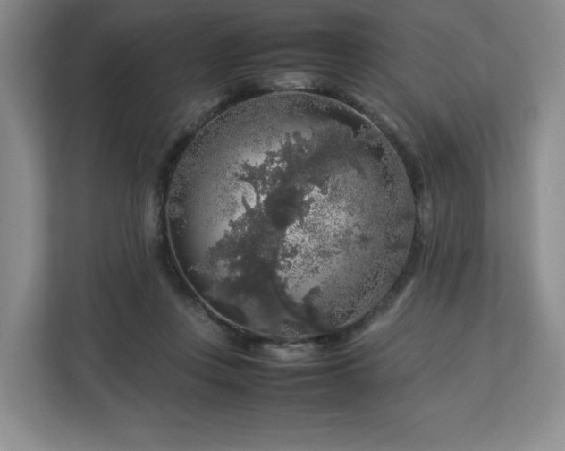 X0000112750359200908271547