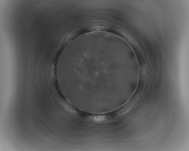 X0000112750361200908271547