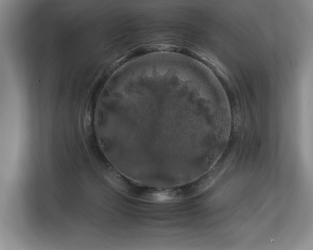 X0000112750365200908271547