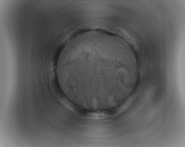 X0000112750366200908271547