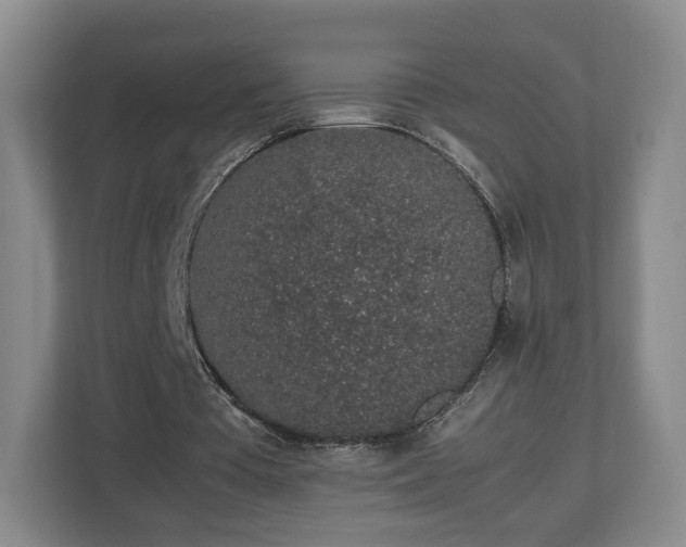 X0000112750385200908271546