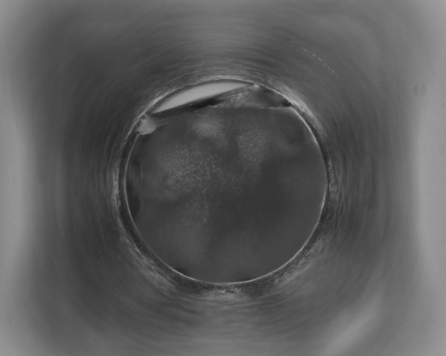 X0000112750386200908271546