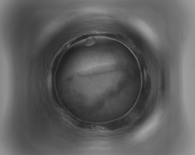 X0000112750387200908271546