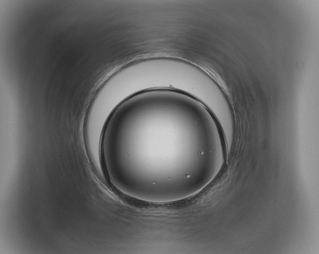 X0000112750389200908271546