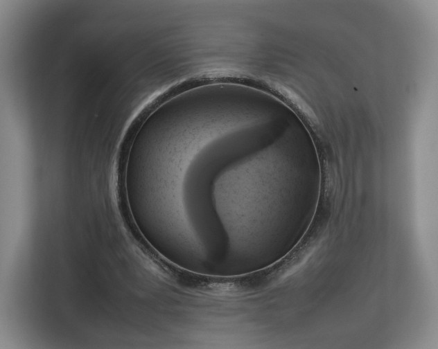 X0000112750391200908271546