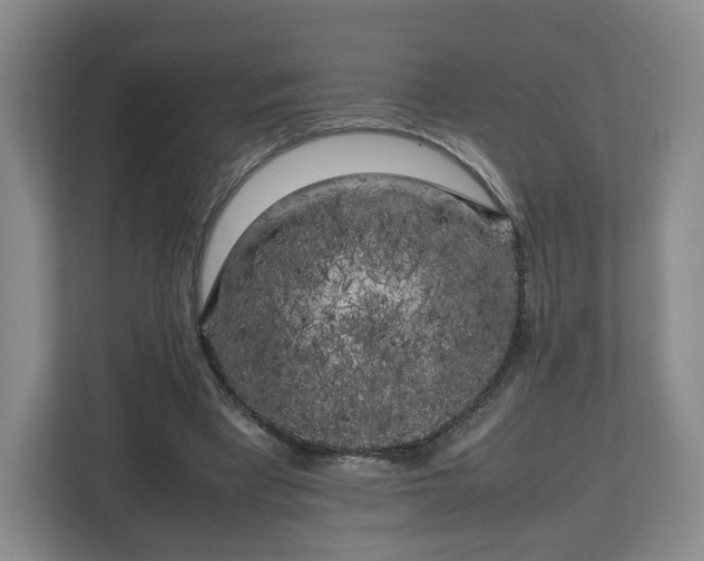 X0000112750393200908271546