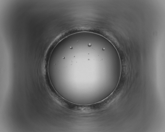 X0000112750395200908271546