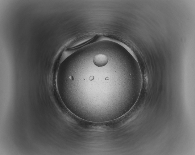 X0000112750396200908271546