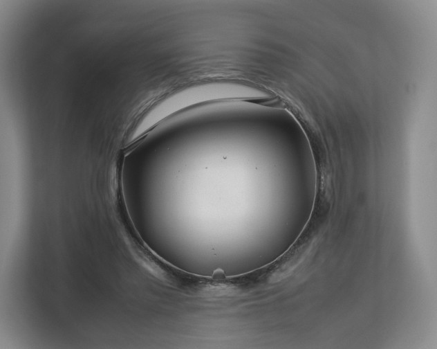 X0000112750397200908271546