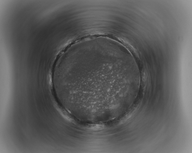 X0000112750398200908271546