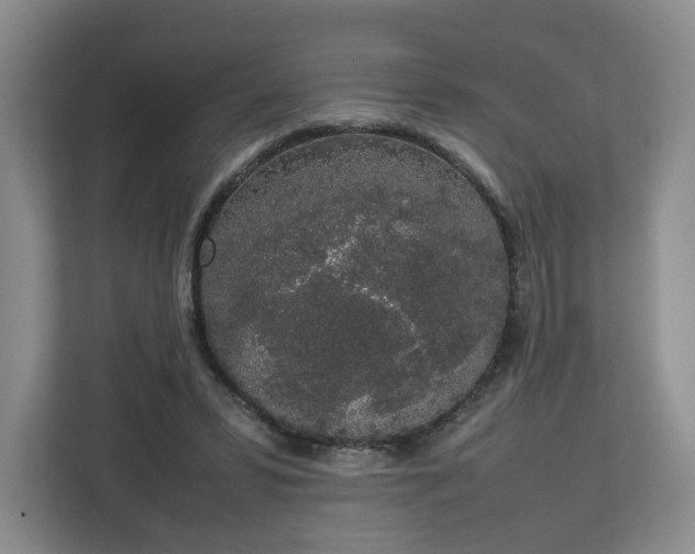 X0000112750399200908271546