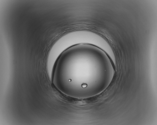 X0000112750411200908271546