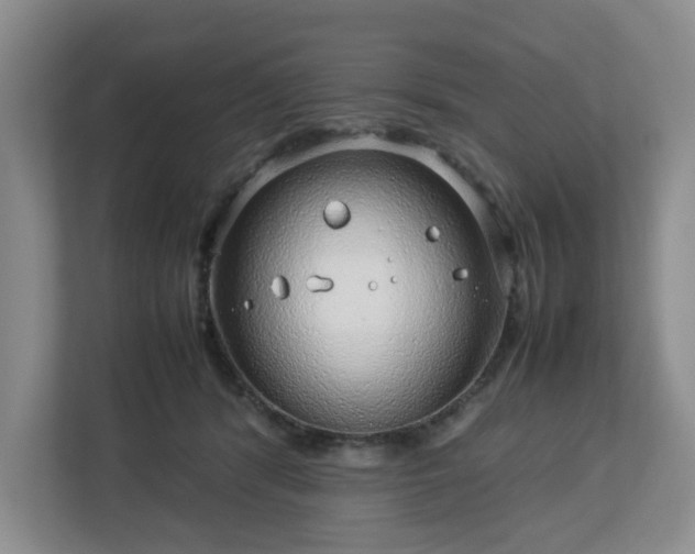 X0000112750416200908271546