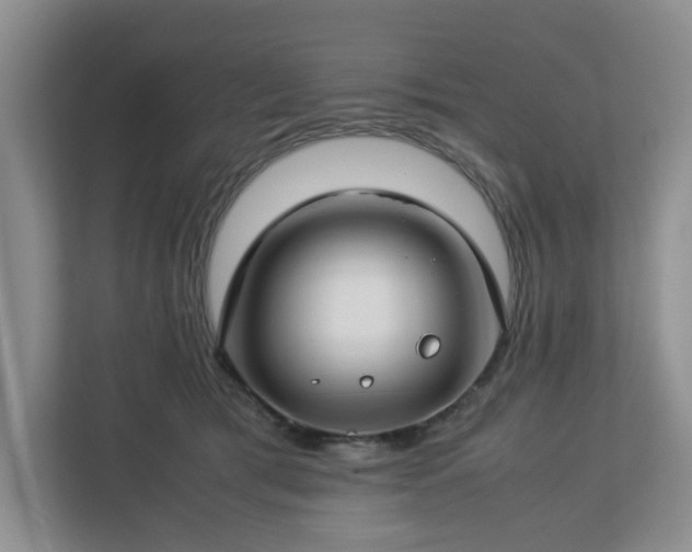 X0000112750417200908271546