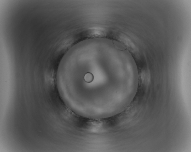 X0000112750423200908271546