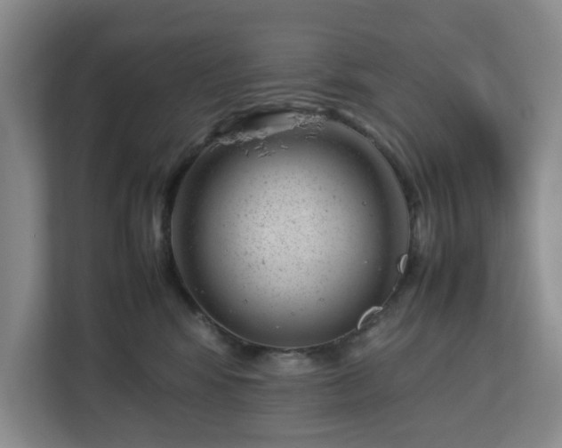 X0000112750424200908271546