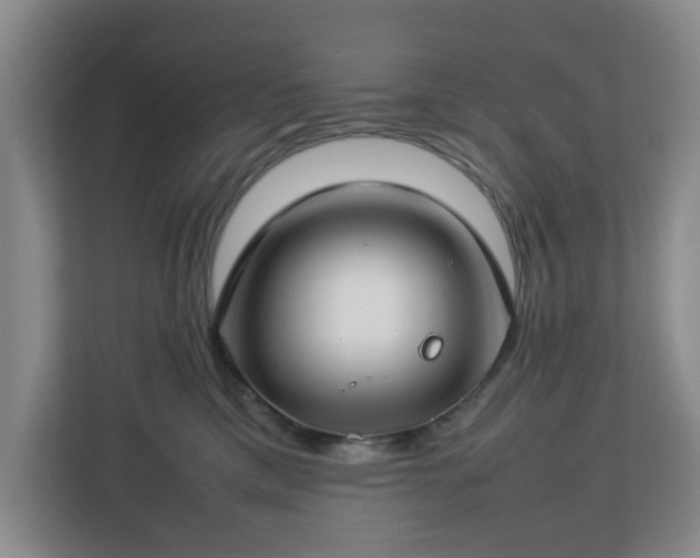 X0000112750425200908271546