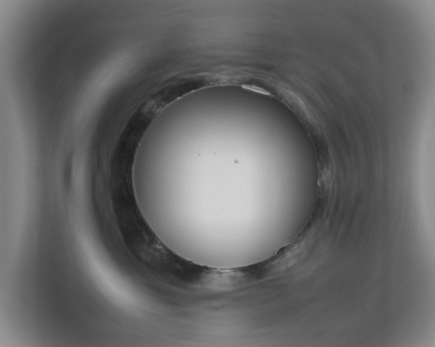 X0000112750429200908271546