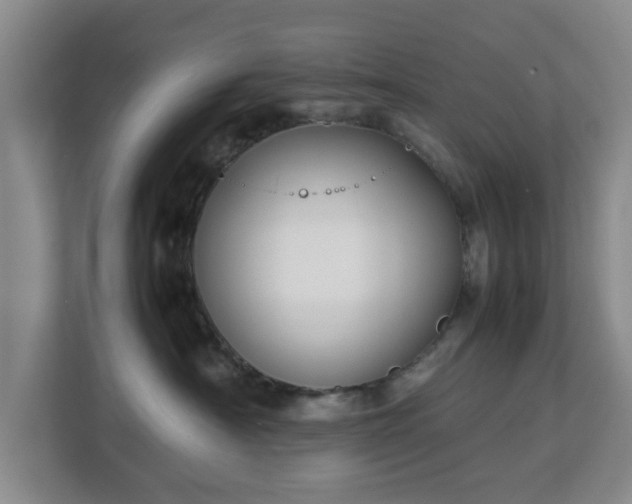 X0000112750430200908271546