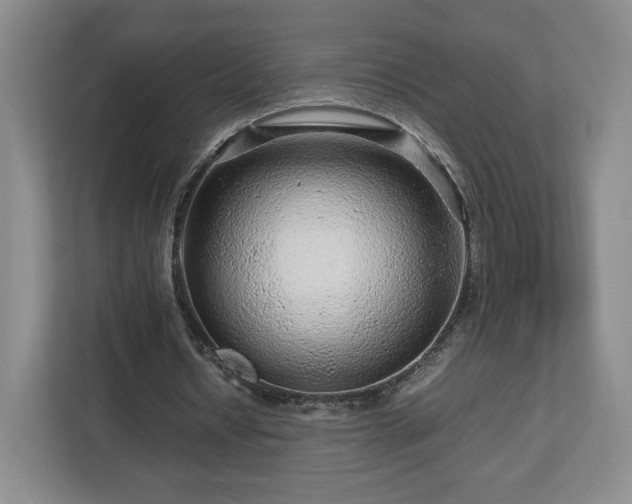 X0000112750434200908271545