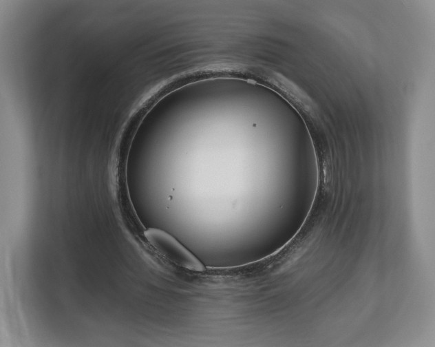 X0000112750436200908271545