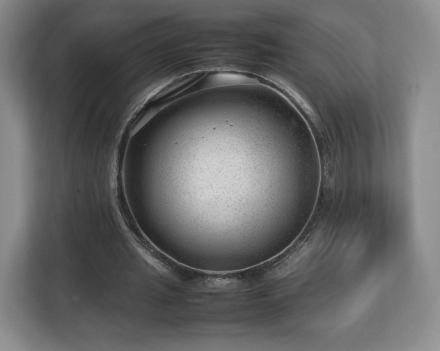 X0000112750437200908271545