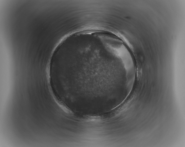 X0000112750438200908271545