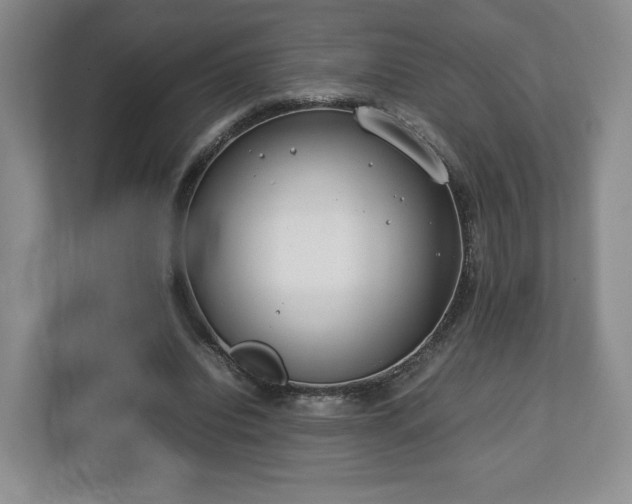 X0000112750440200908271545