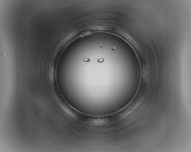 X0000112750445200908271545