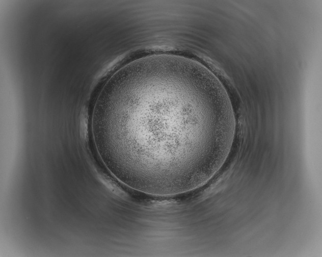 X0000112750446200908271545