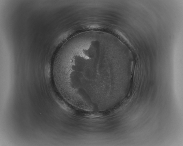 X0000112750447200908271545