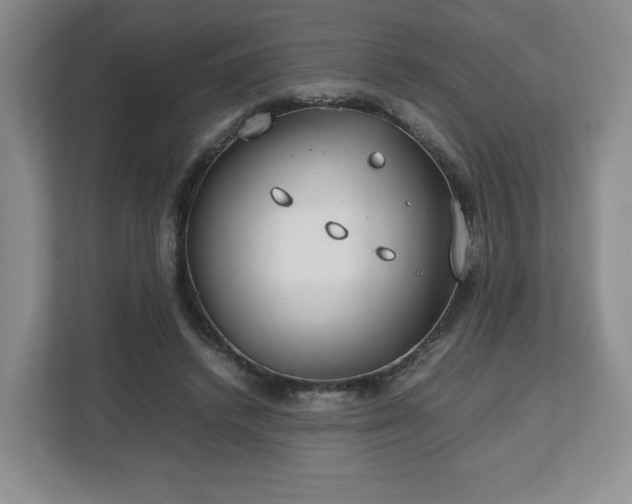 X0000112750448200908271545