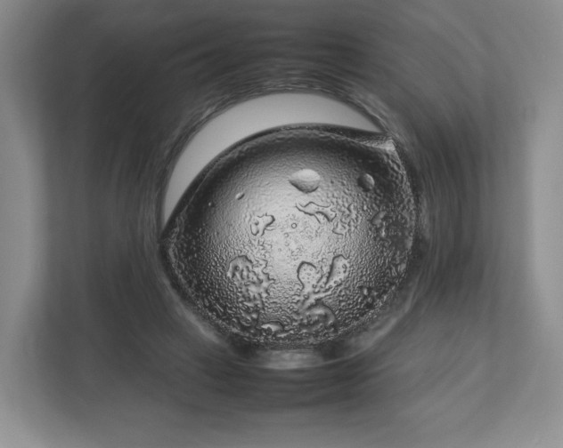 X0000112750449200908271545