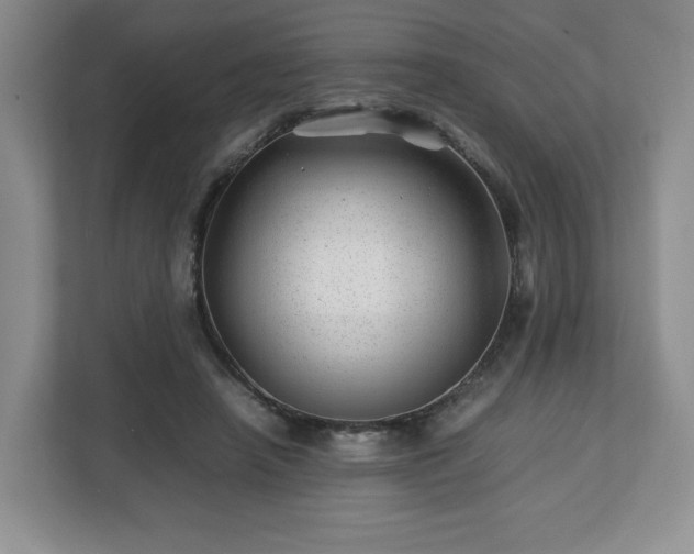 X0000112750450200908271545