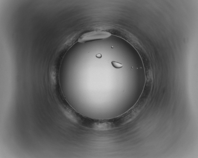 X0000112750452200908271545