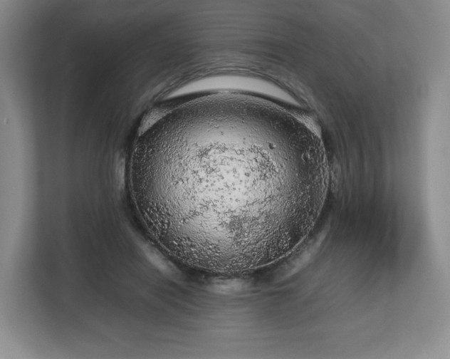 X0000112750454200908271545