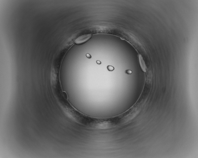 X0000112750456200908271545