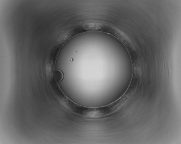 X0000112750460200908271545